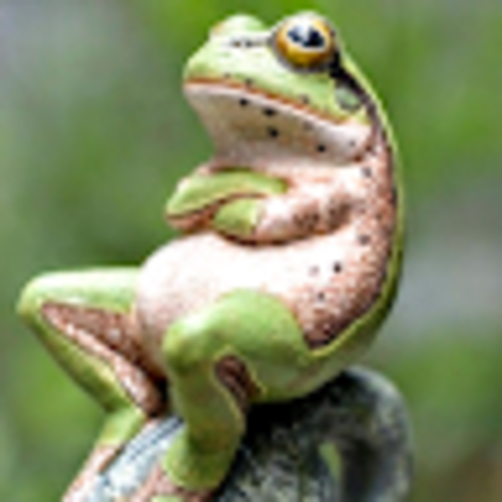 Meet your Posher, Frogger